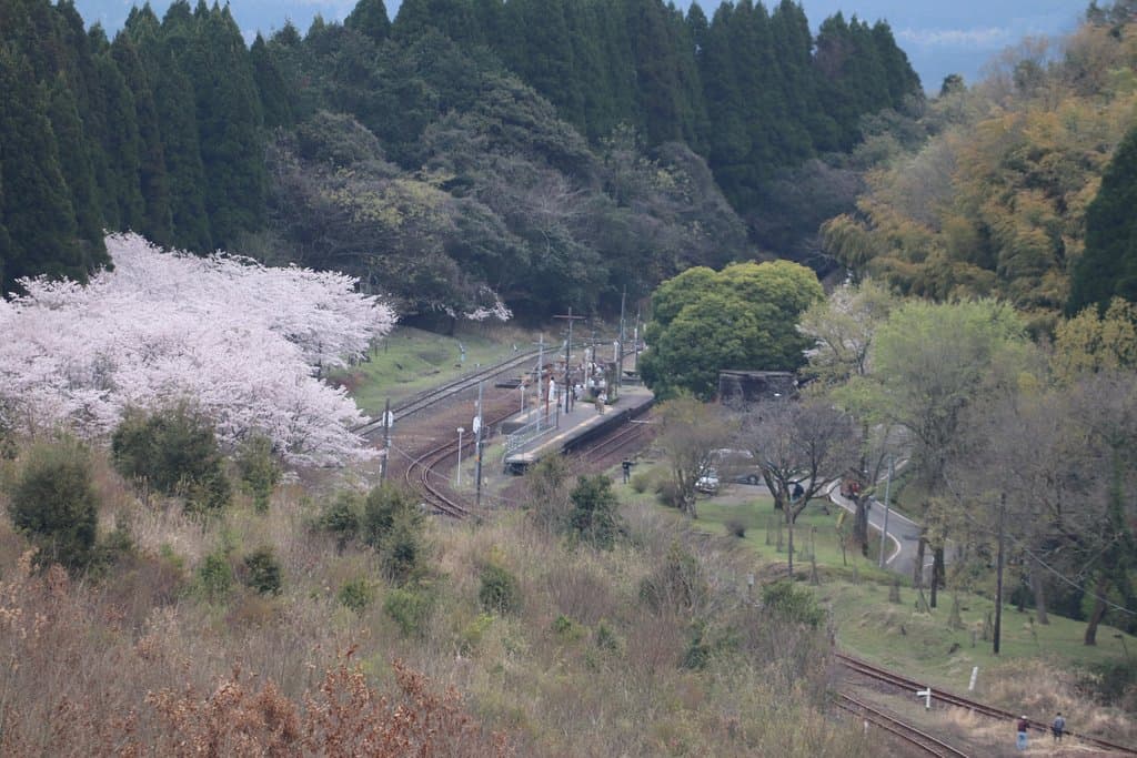 スイッチバック