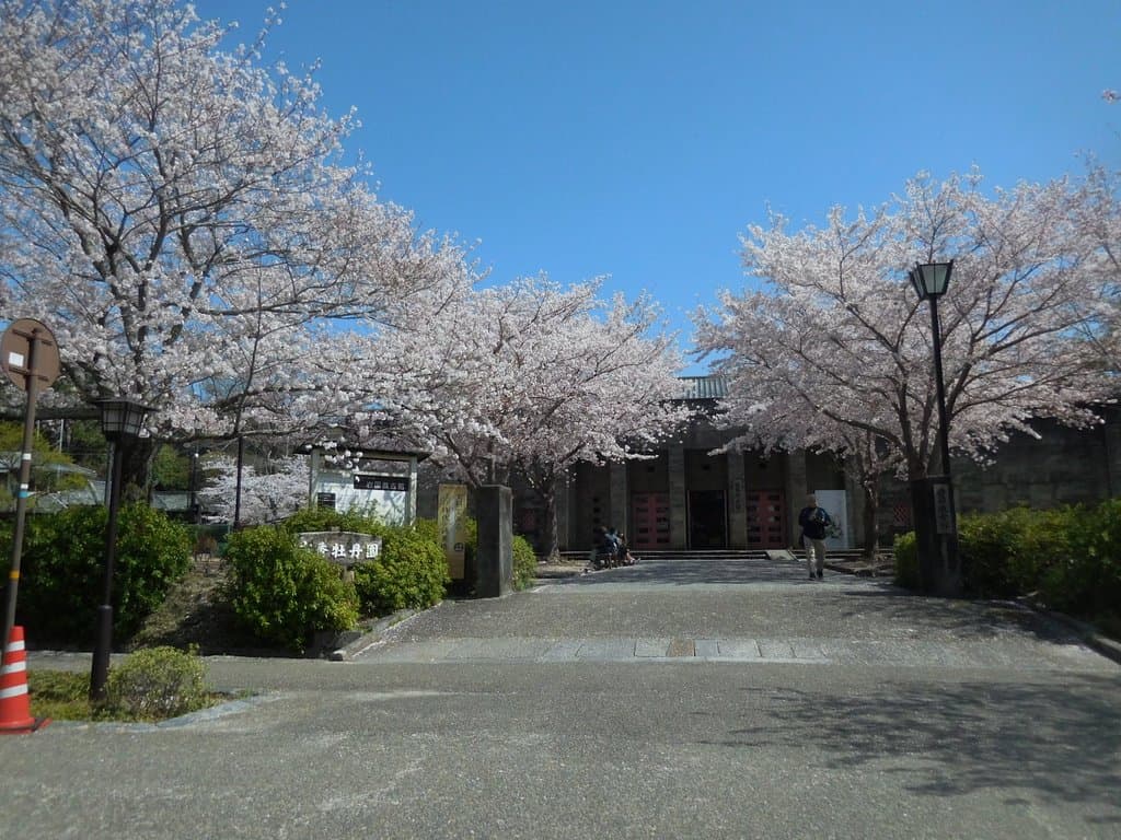 中央奥が建物です。