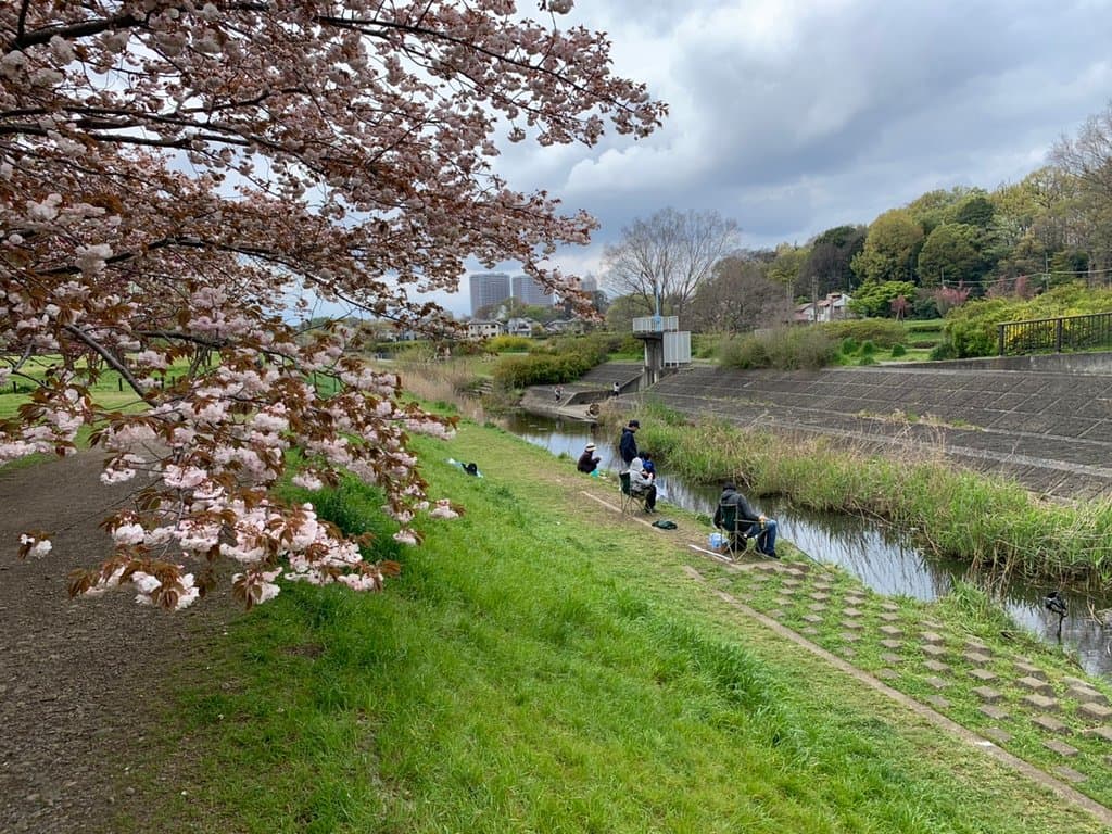 Nogawa Park Tokyo