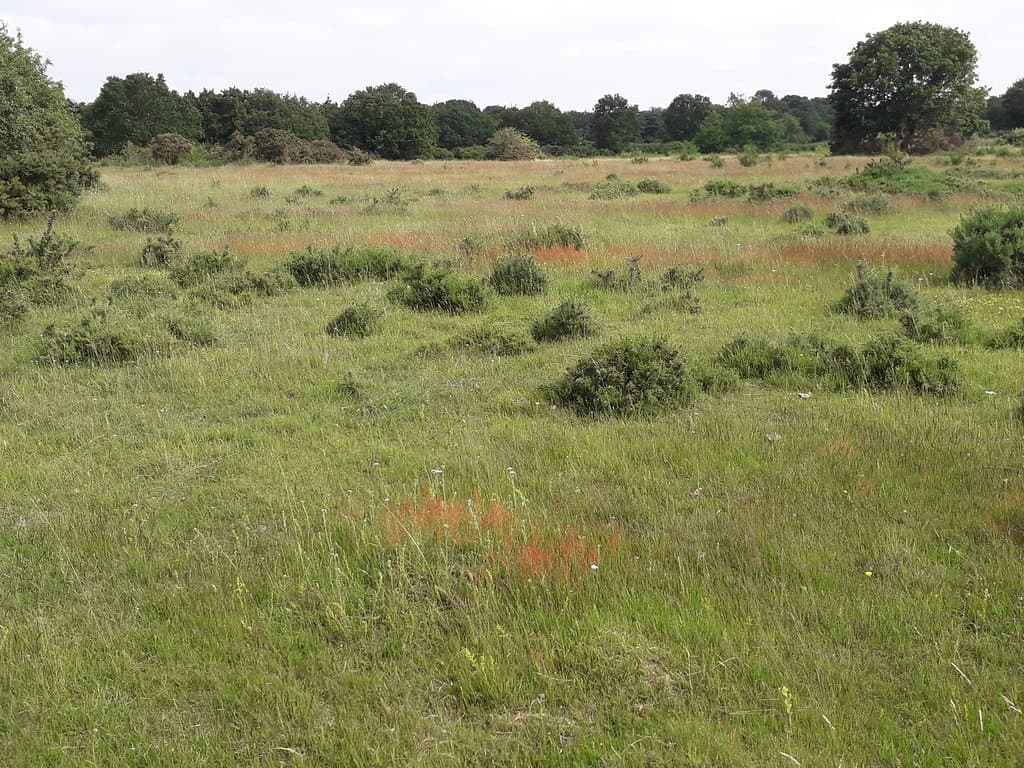 getlstd_property_photo