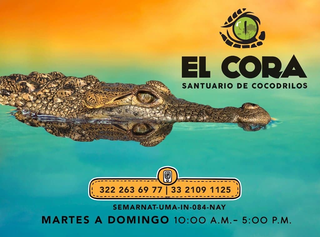 Salazar dando la Bienvenida.