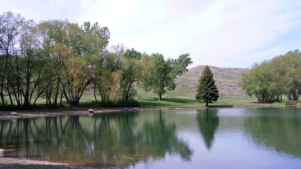 Echodale Regional Park 