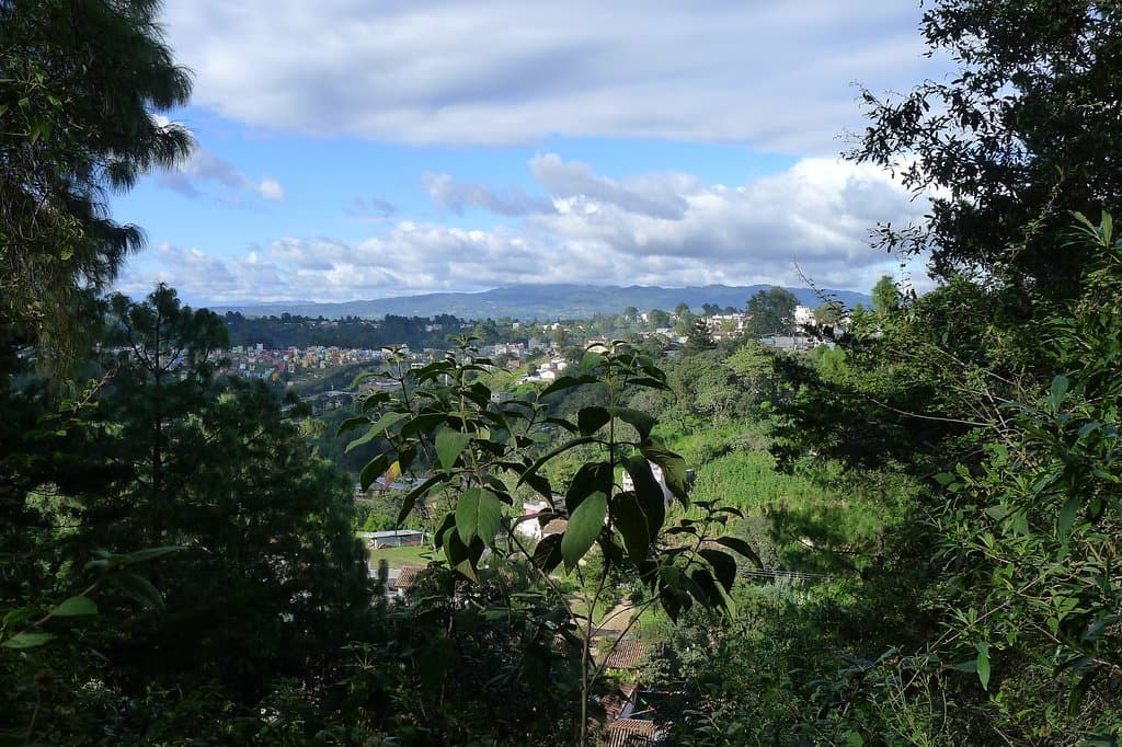 скромный вид на окрестности