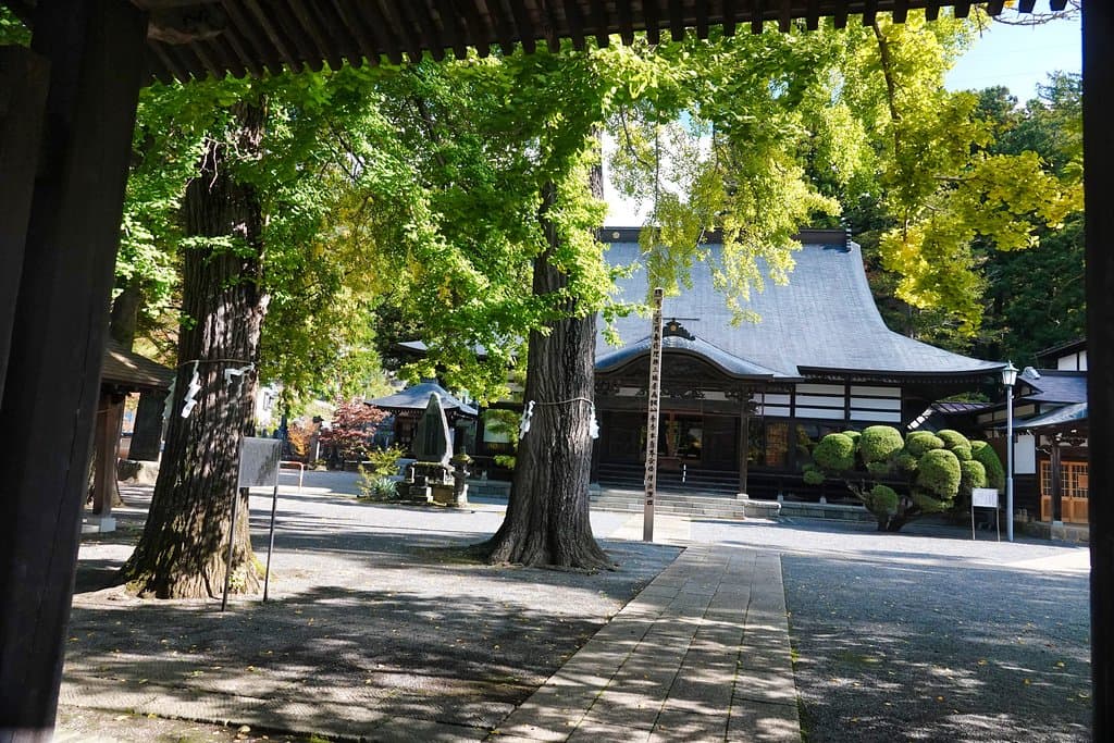仏法紹隆寺：本堂とイチョウ