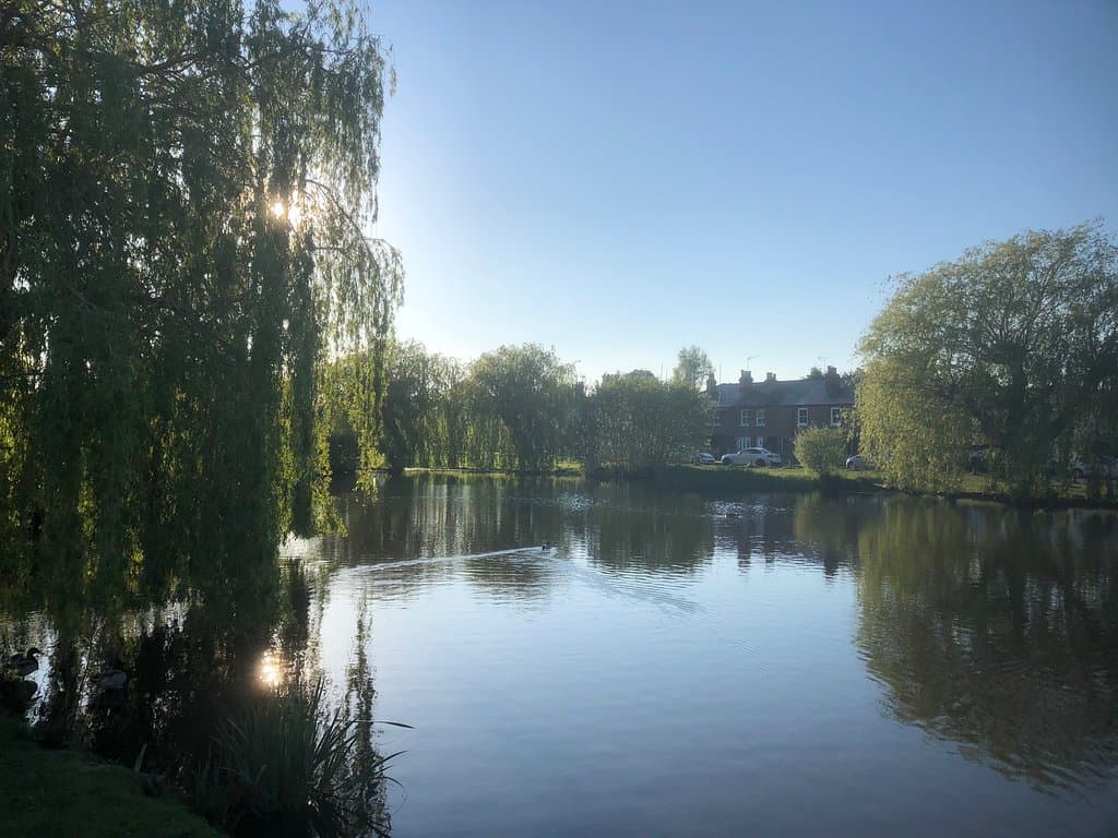 Unquestionably the nicest part of Esher - West End, right on Esher Common.