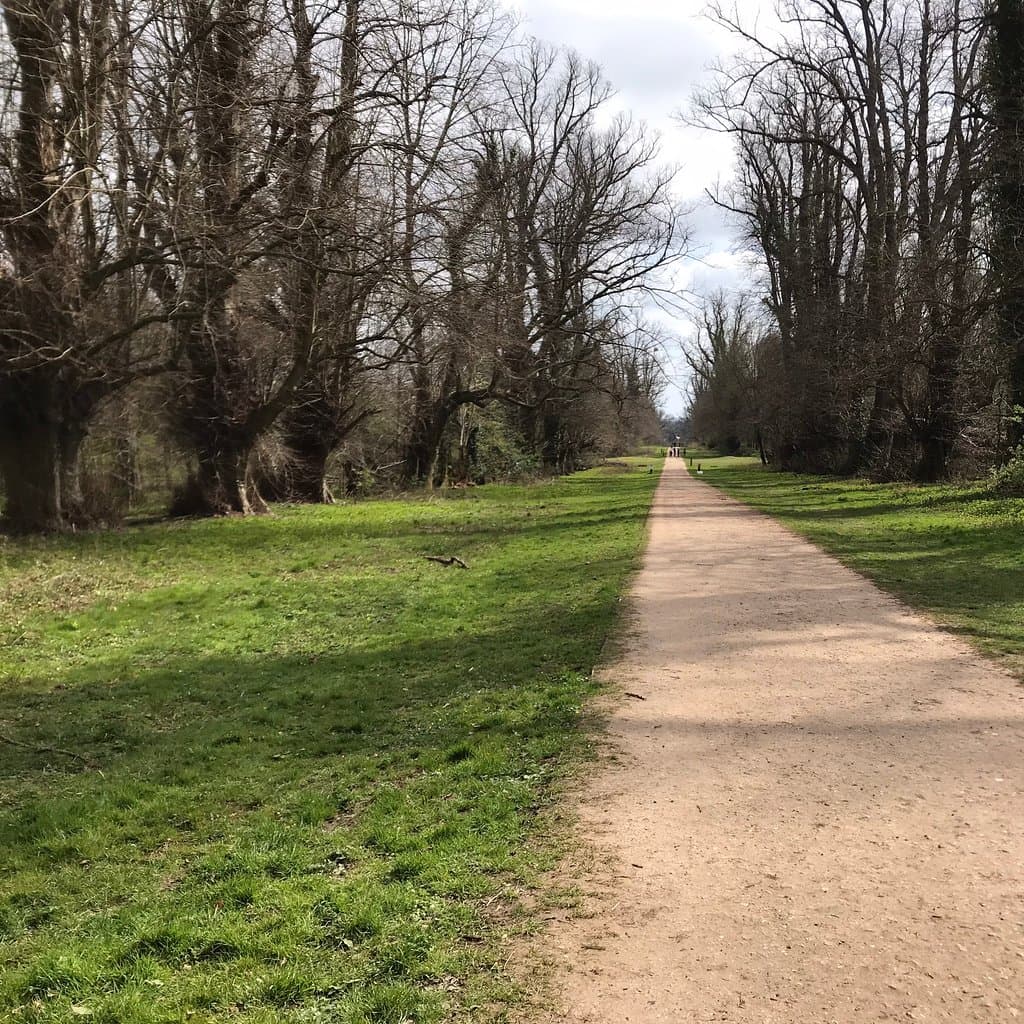Woodland scenes and information boards 