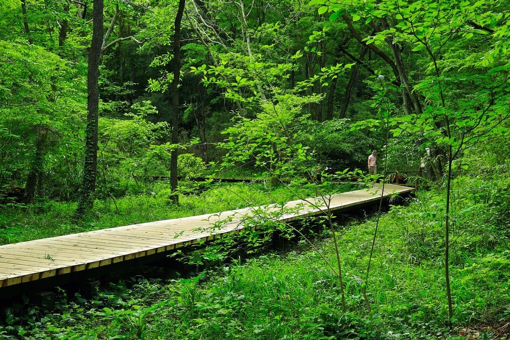 Komiya Park