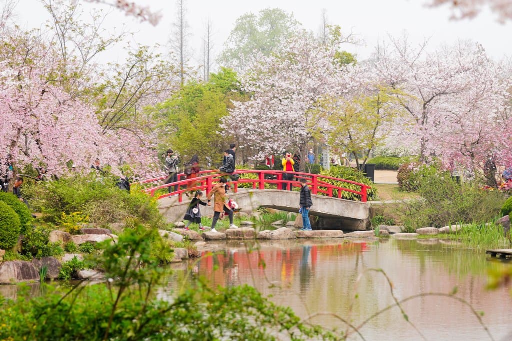 「桜花谷」の池のほとり