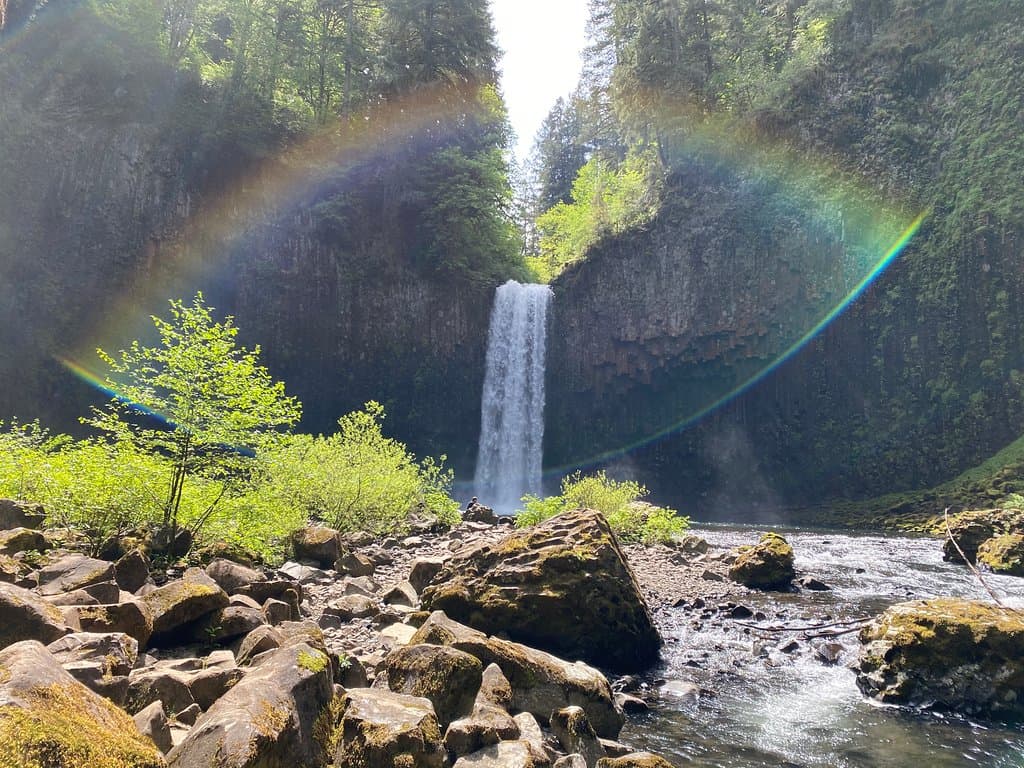 The falls. Worth the trek.