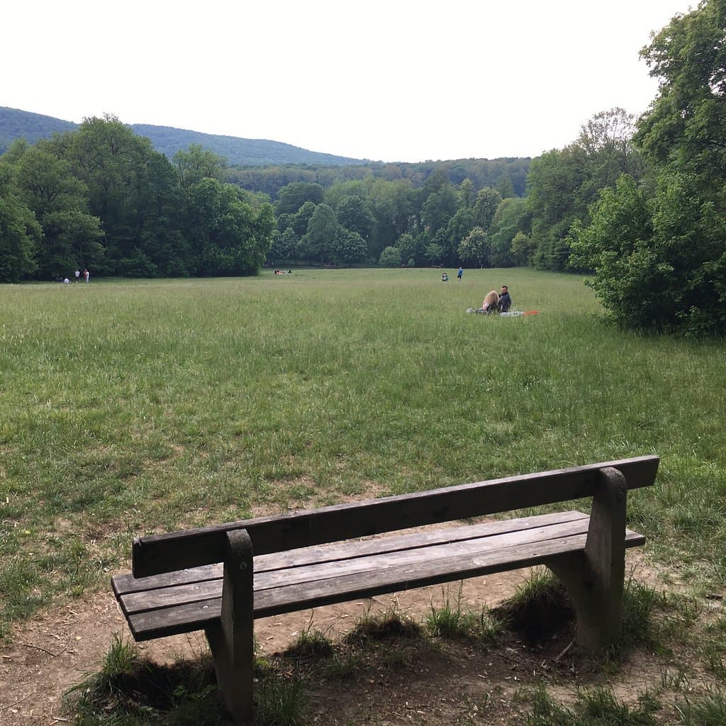 Find Tranquility at Schwarzenbergpark