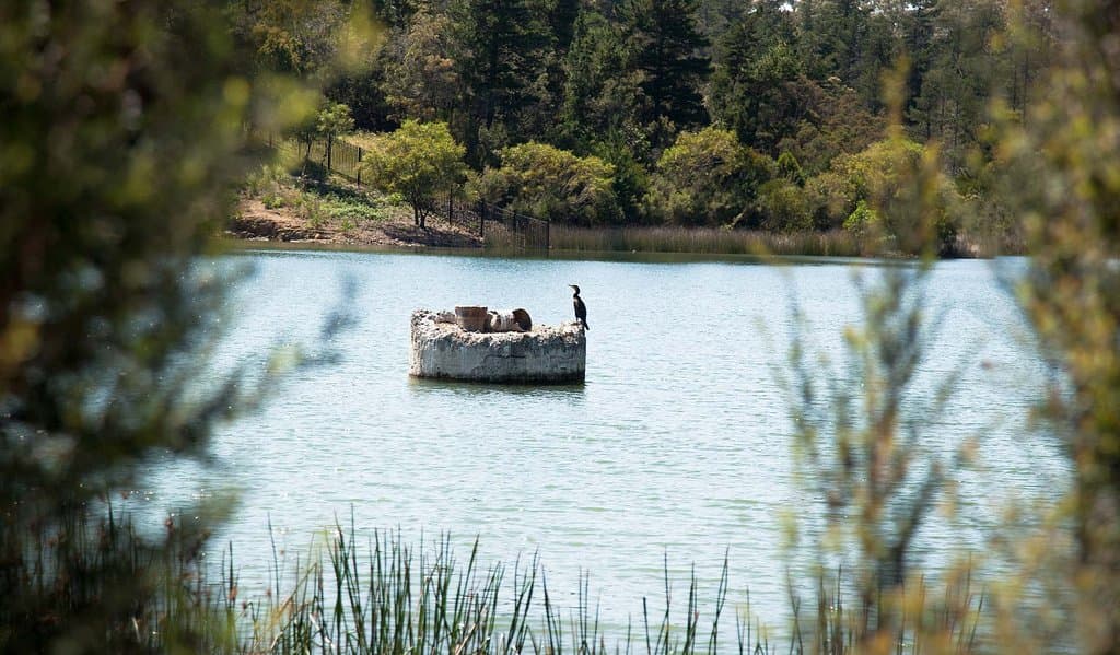 Frankston Nature Conservation Reserve