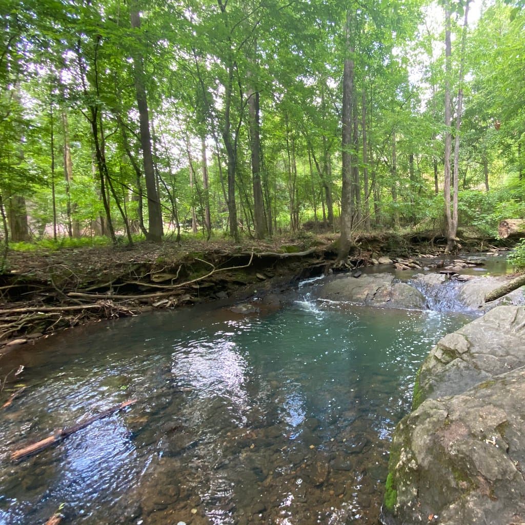 Autrey Mill Nature Preserve