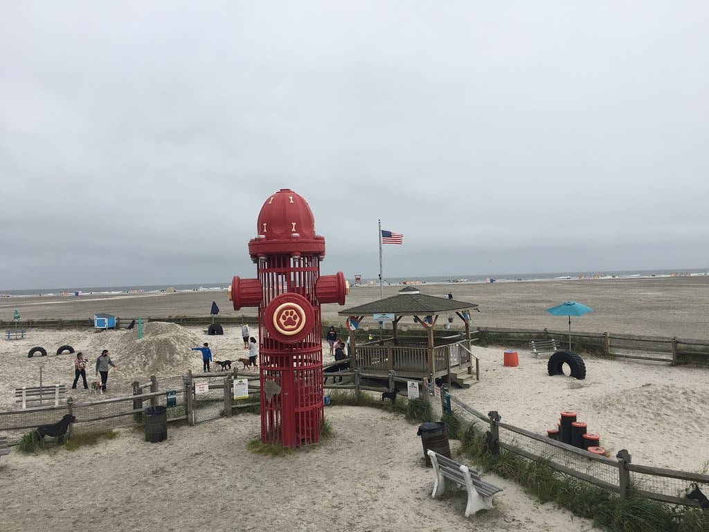  Wildwood Dog Beach - On the left the section for the "big dogs" on the right for "small dogs"
