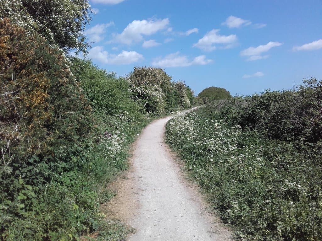 Hull to Hornsea Trail