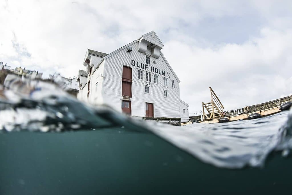 Foto: Vasco Pinhol 