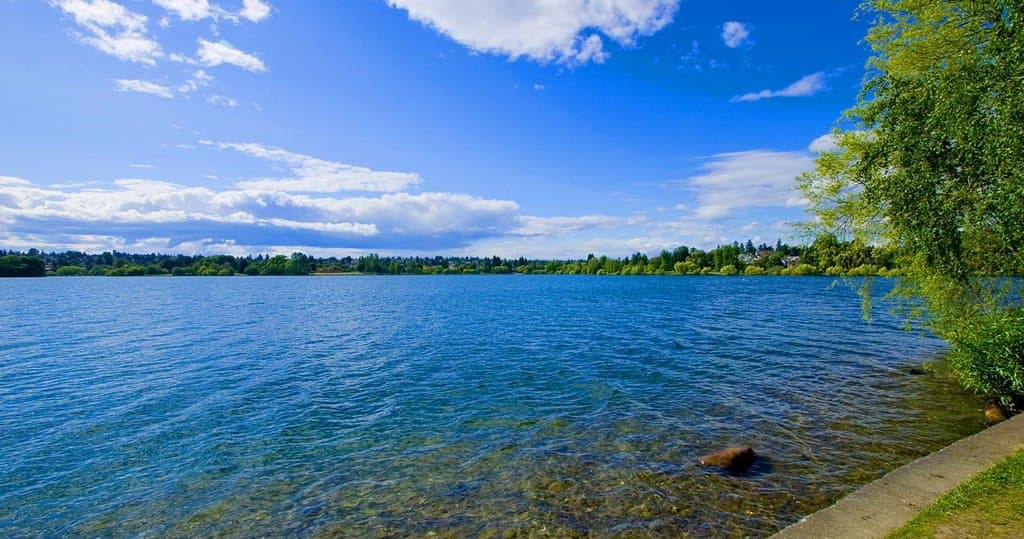 Green Park Lake and Long Water
