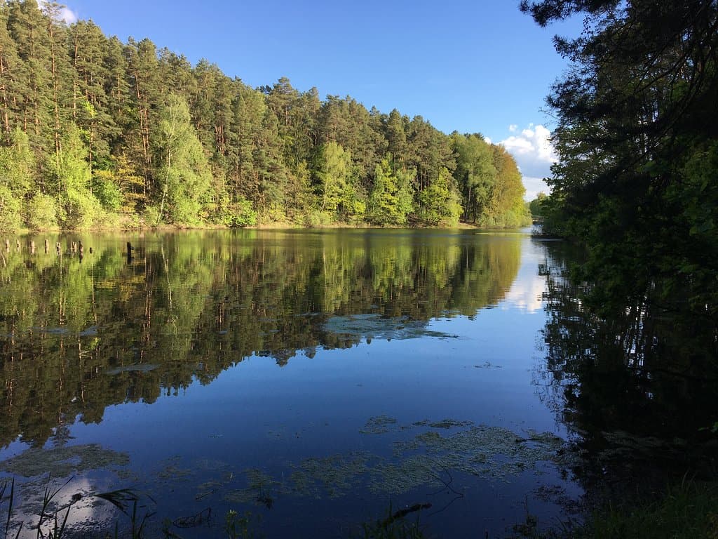 Lake Długie