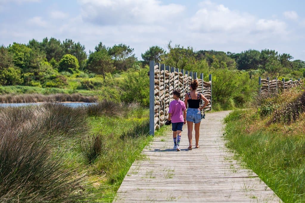 Sur les sentiers d'Izadia