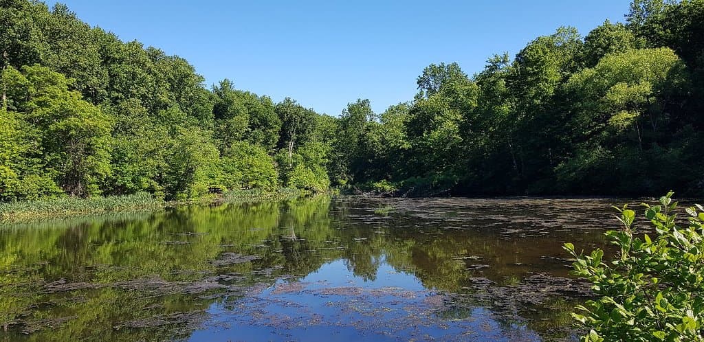 South Mountain Fairy Trail