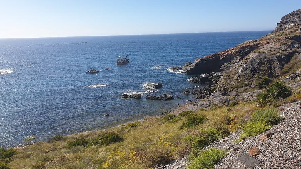 Cala Reona