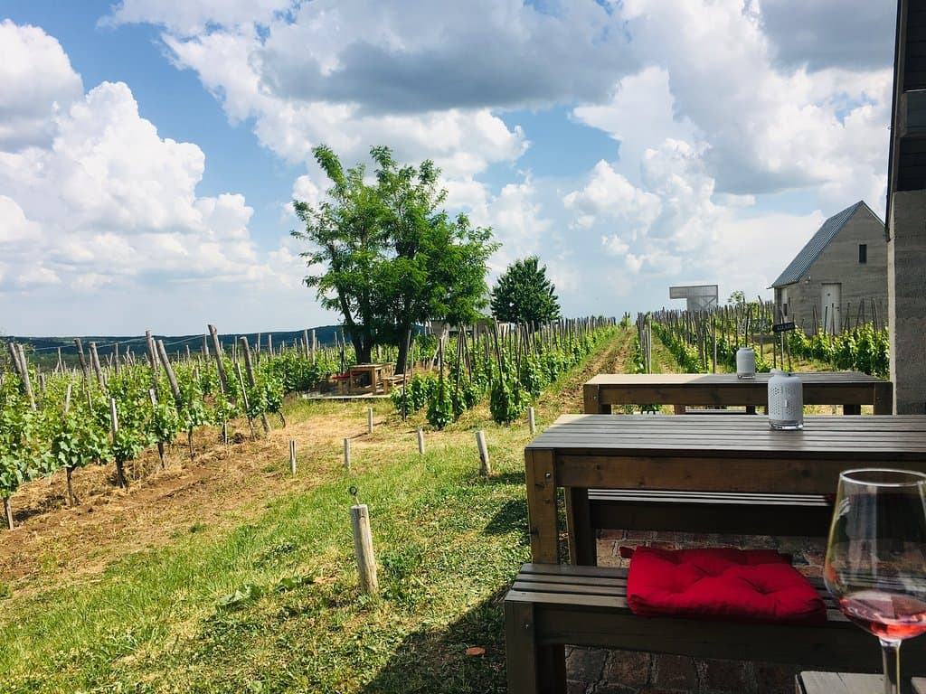 Almagyar Wine Terrace and Vineyard