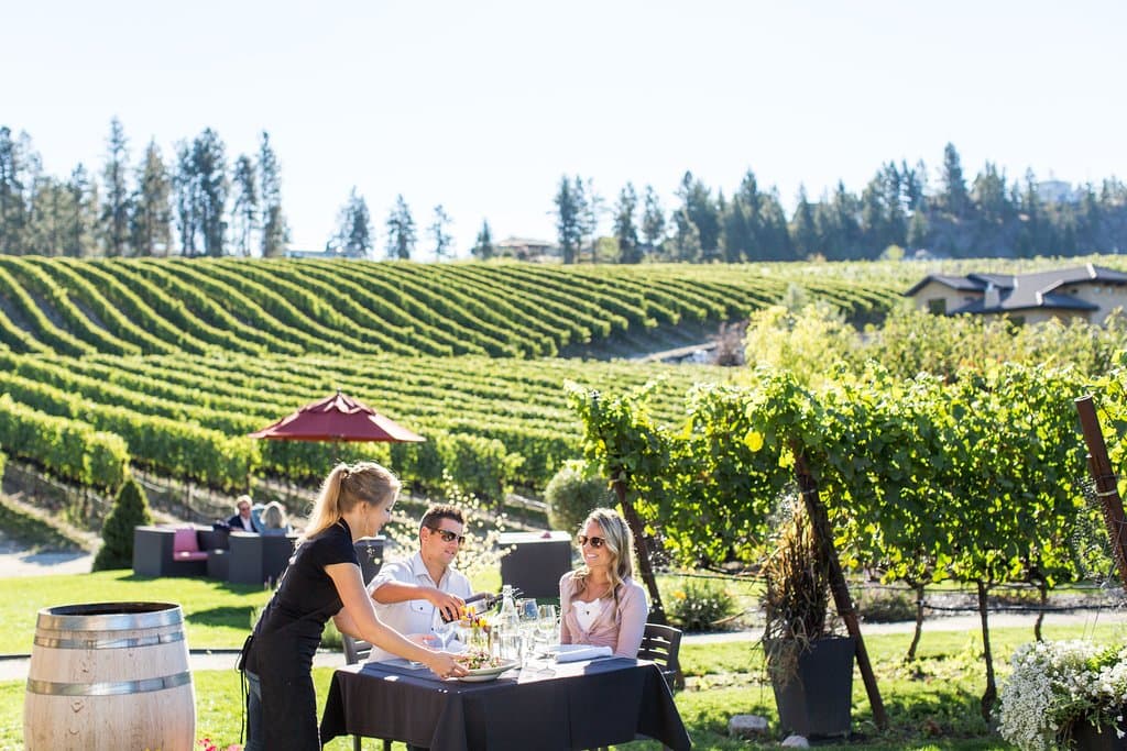 CHAOS Bistro in the vineyard. 