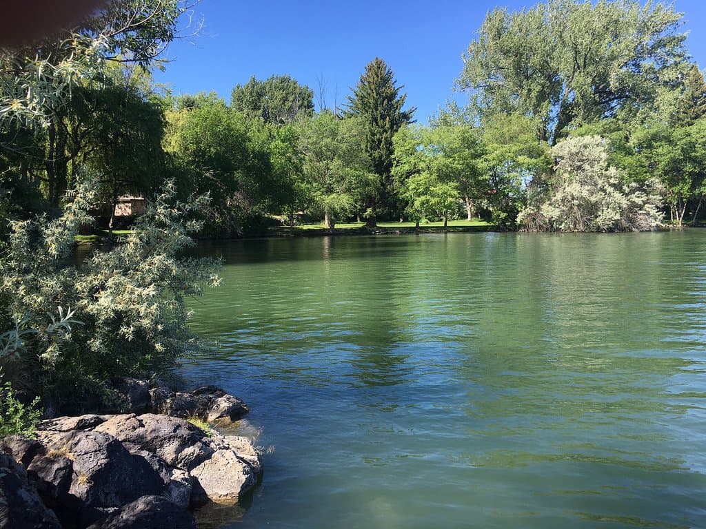 The swimming area, dock for canoes and kayaks, and wildlife in the park.
