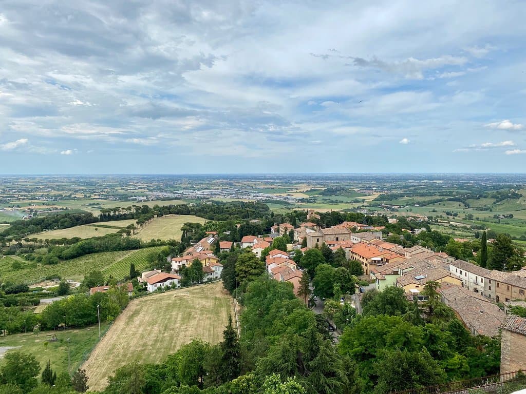 view
