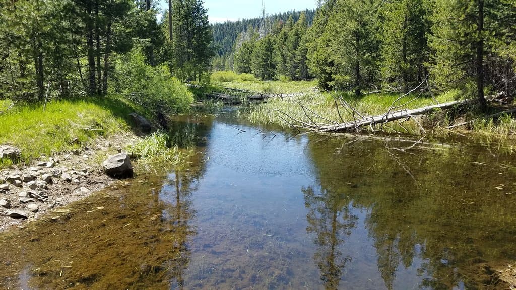 Burton Creek near the half-way point of the loop trail