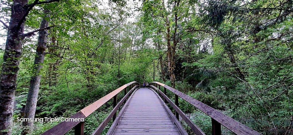 Tynehead Regional Park