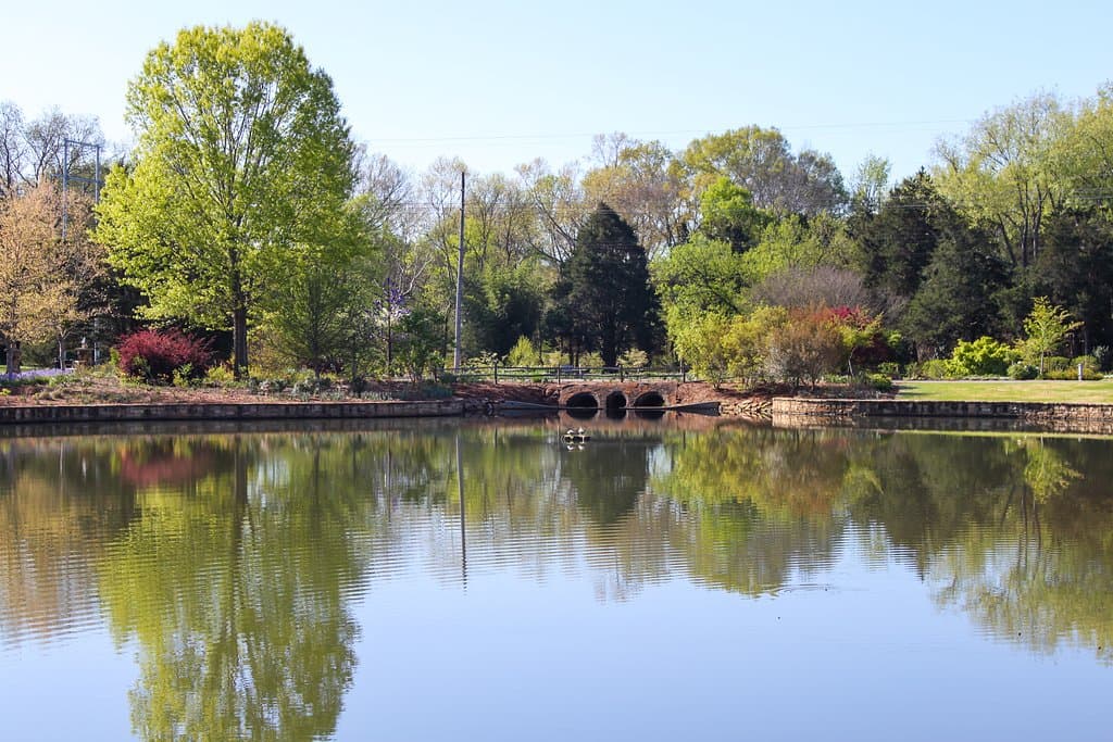 Join us on Instagram: https://www.instagram.com/hsvgarden/