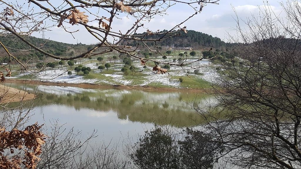 Alanya Kent Ormanı Urban Forest