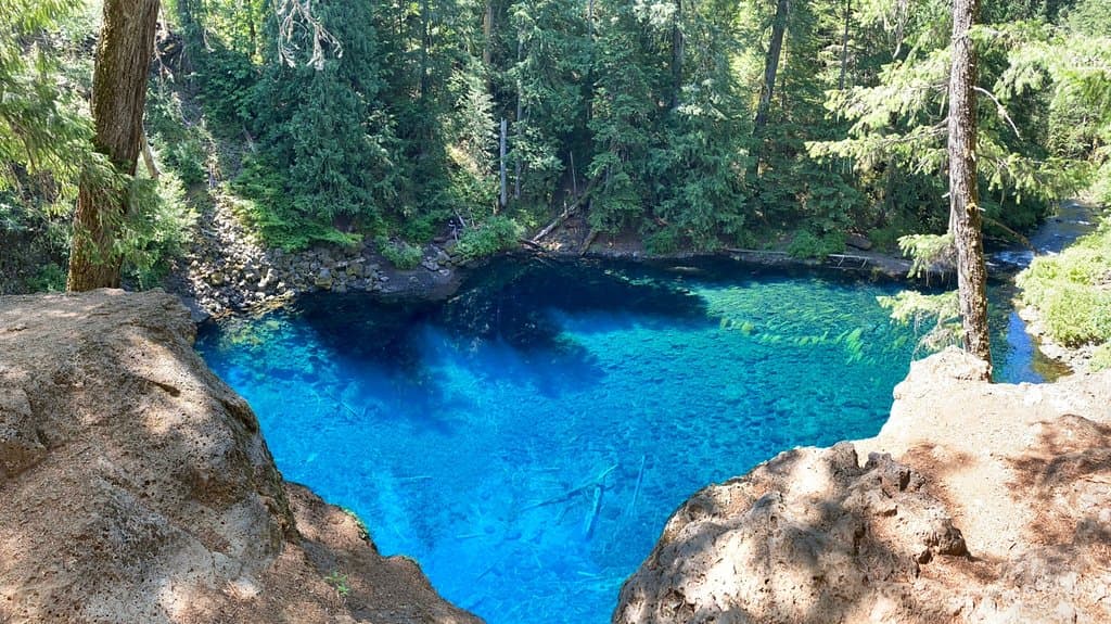 Tamolitch Blue Pool Trail Willamette National Forest