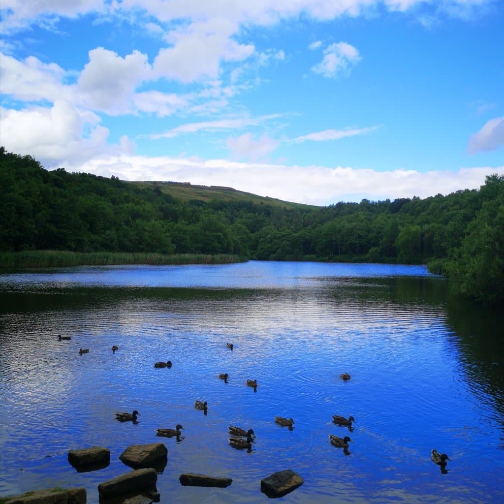 Strinesdale reservoir