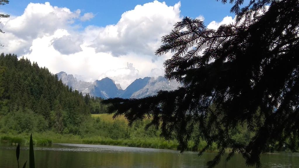 Gieringer Weiher
