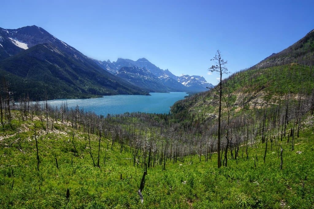 Waterton lake below us about 20minutes into the hike.