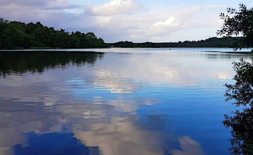 Frensham Little Pond