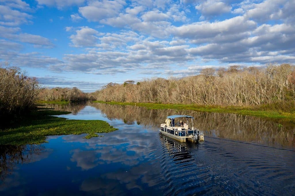 Rent a boat from Highland Park Fish Camp and take a self guided nature tour through the backwaters of the St. Johns River