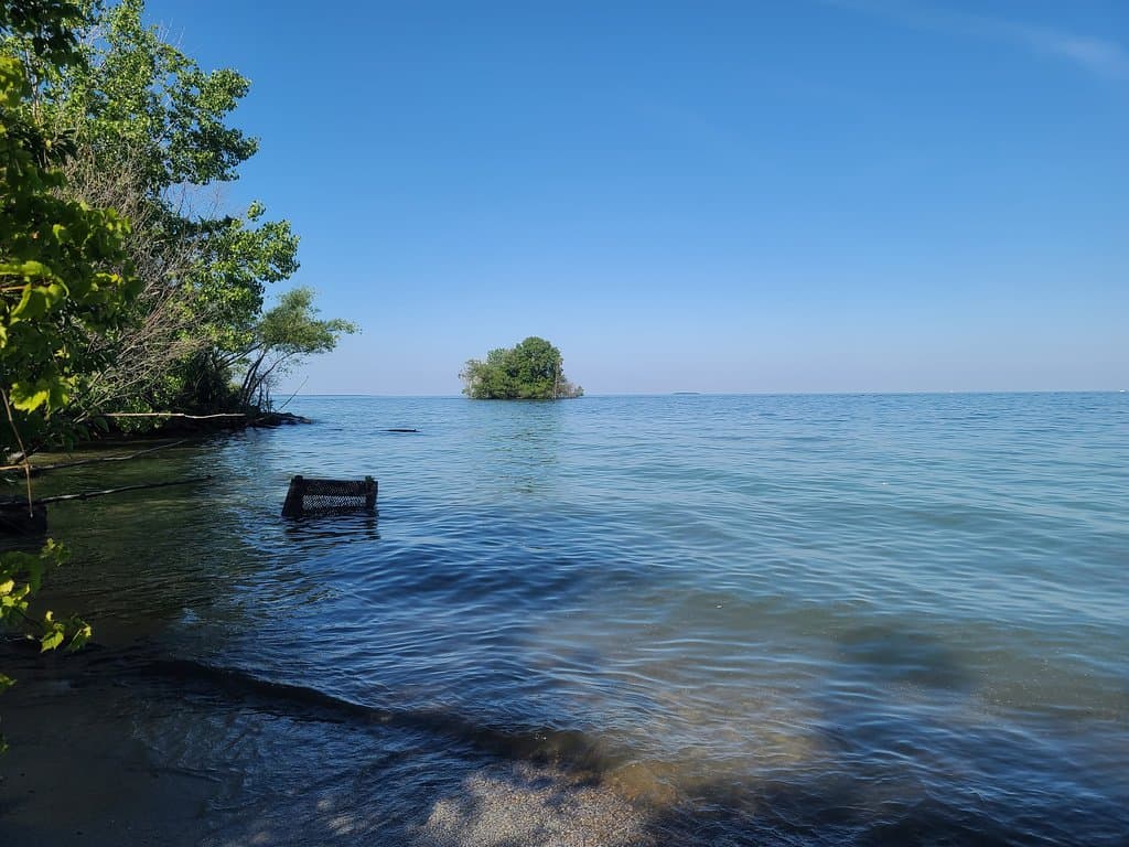 Scheeff East Point Preserve