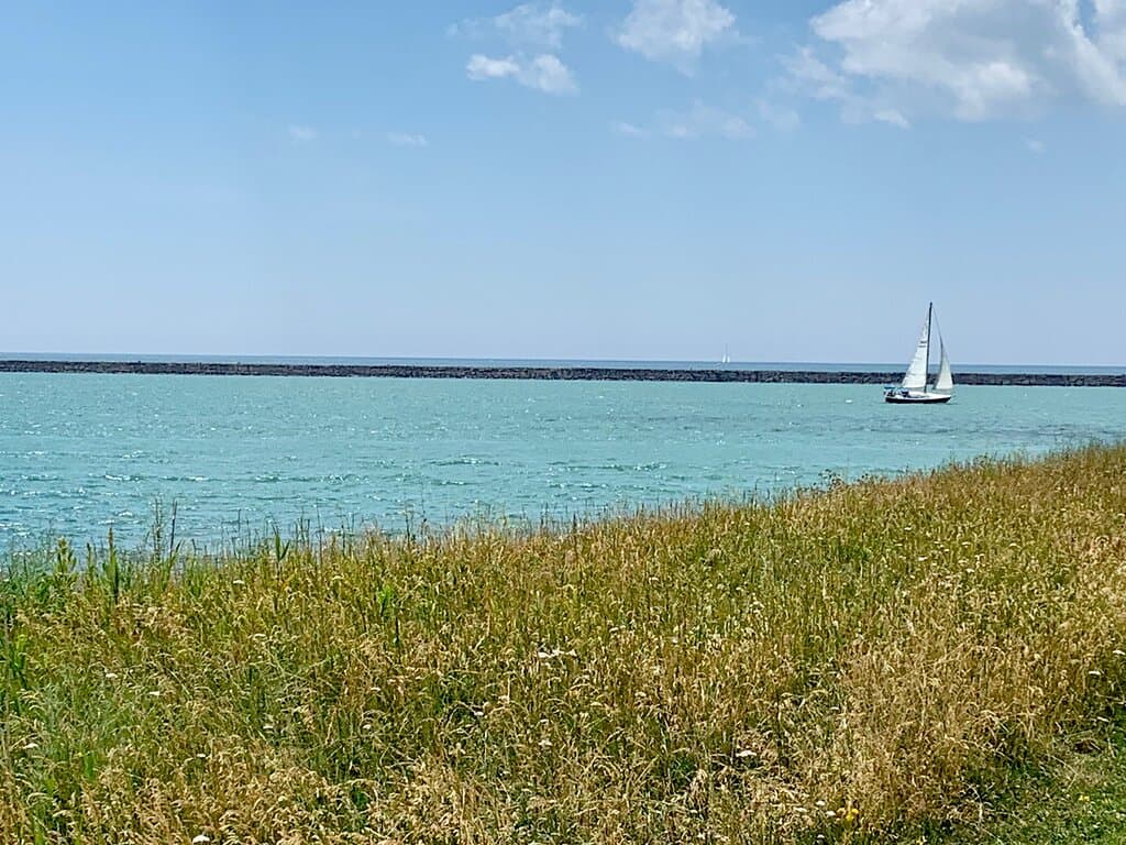 Outer Harbor