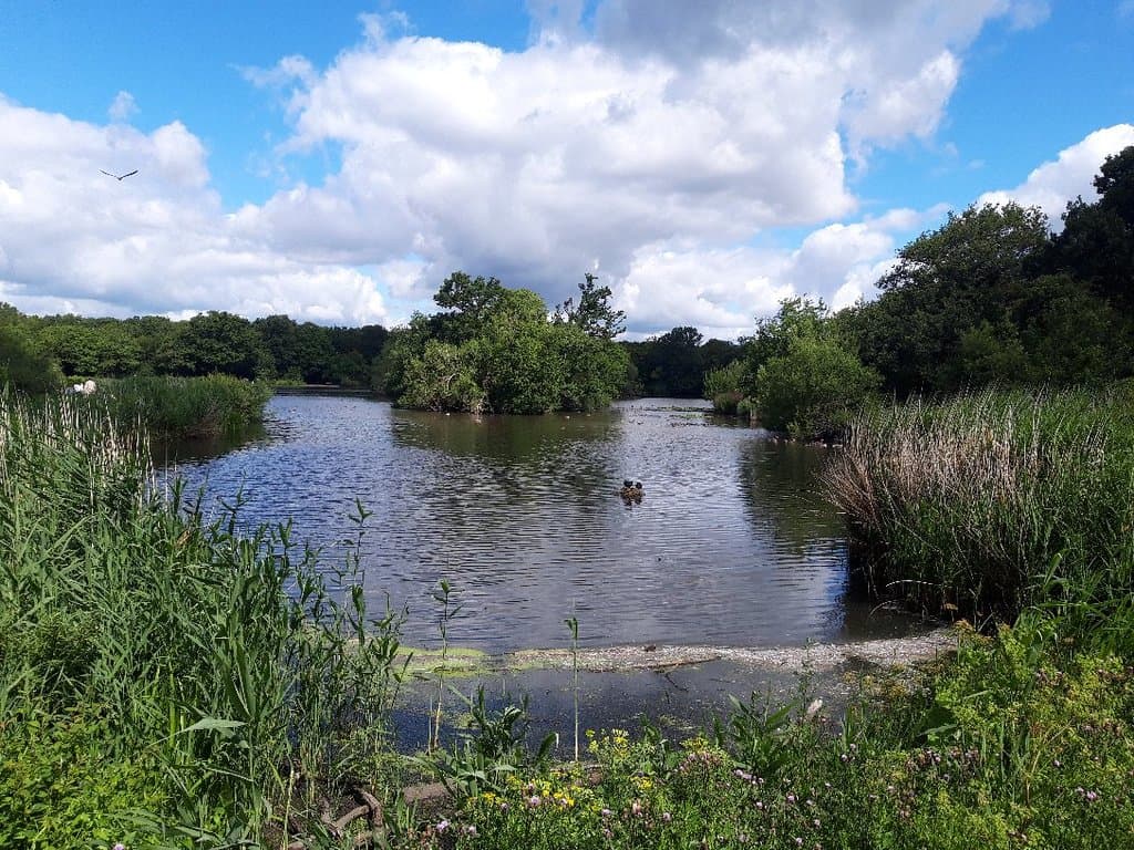 Epping Forest South