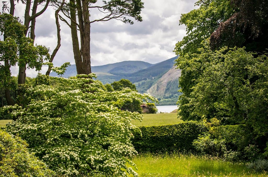 Garden Views 