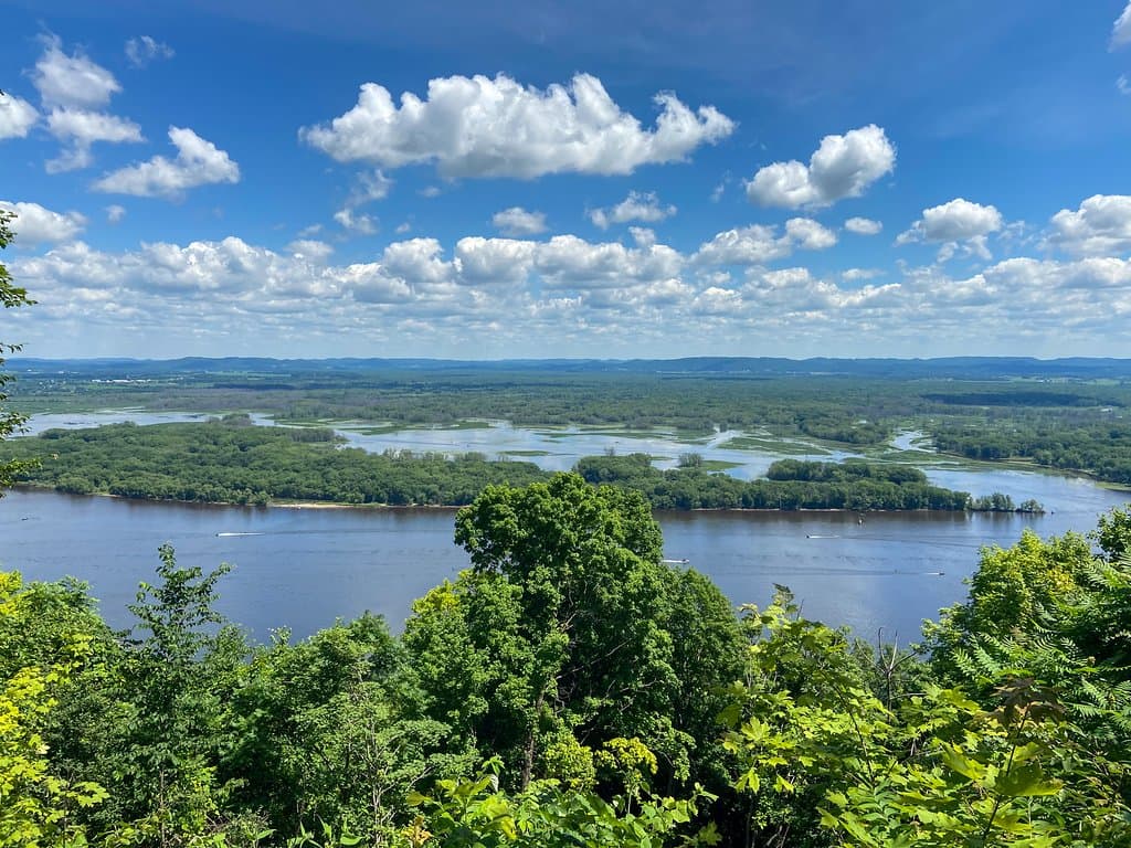 from the lookout