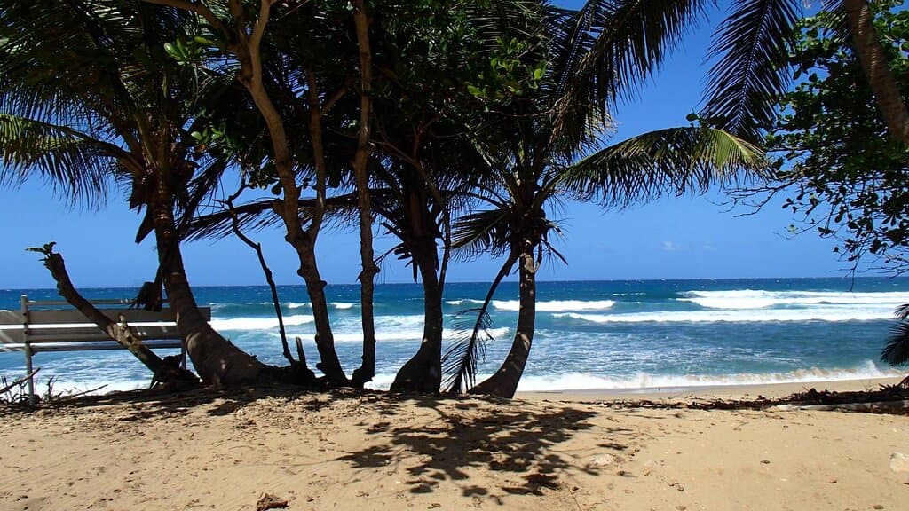 Surfers Beach