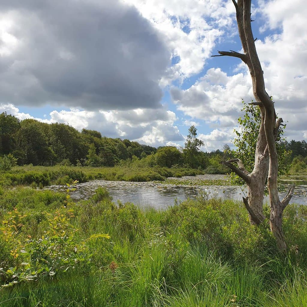 Drents-Friese Wold National Park