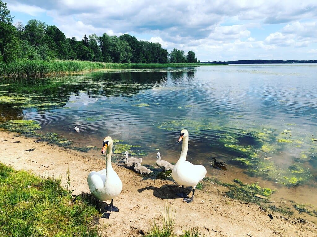 Межапарк