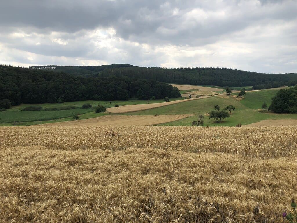 Traumpfad Höhlen- und Schluchtensteig Kell