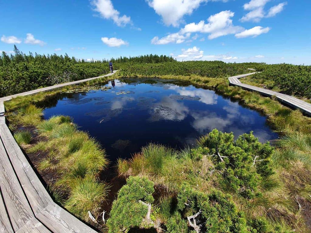Lovrenc Lakes (Lovrenška jezera) Slovenia
