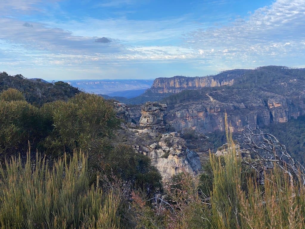 Boars Head Lookout