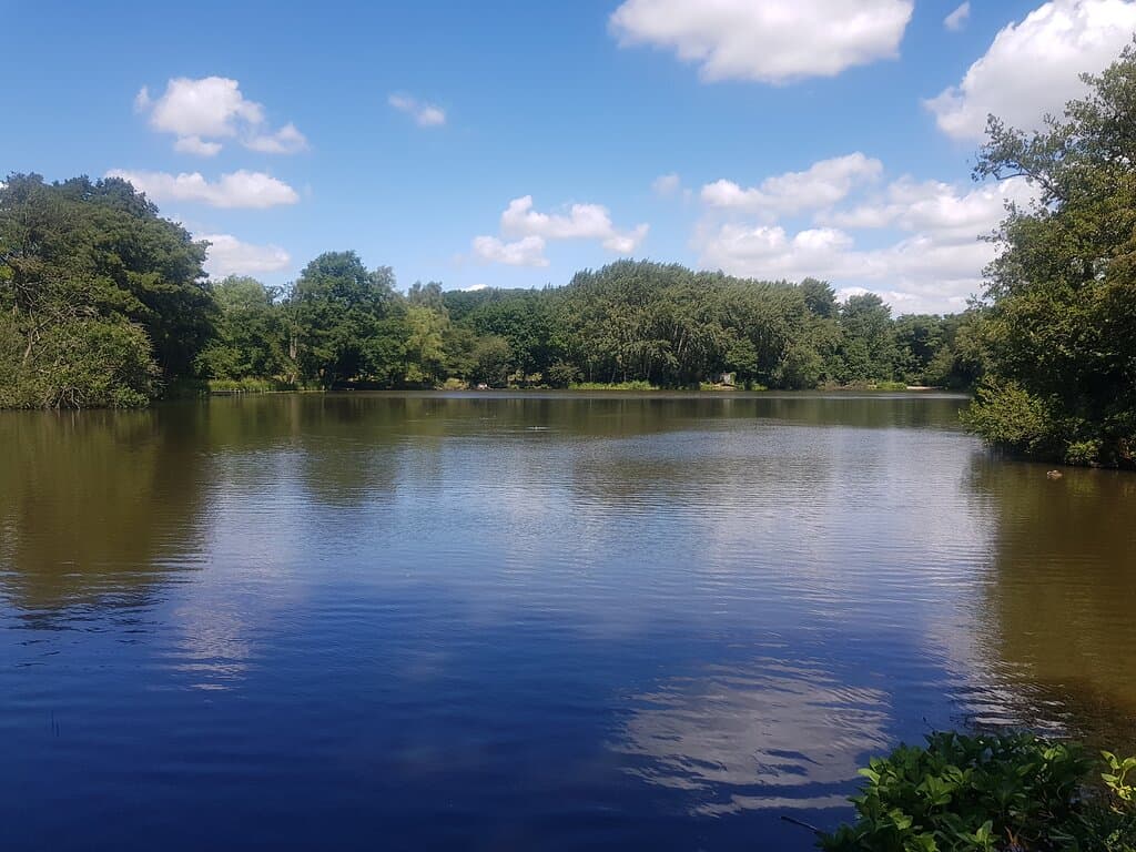 View across the Lake 